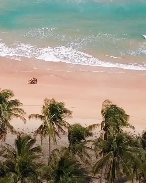 Praia de Maragogi vista do alto, com o mar verde, a areia clara e os coqueiros